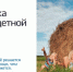 От регистрации ребенка до оформления материнского капитала - Газета Колос